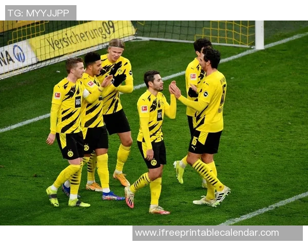 多特蒙德与费雷堡精彩对决直播全程回顾与分析